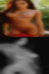 Tampa swinging wives